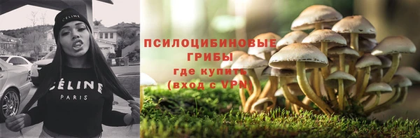 МДПВ Осташков