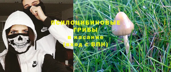МДПВ Осташков