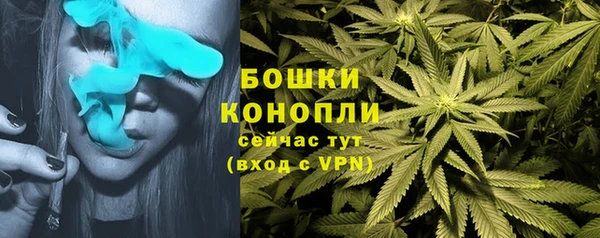МДПВ Осташков