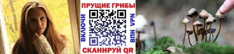 Галлюциногенные грибы мицелий  наркотики  Барнаул 