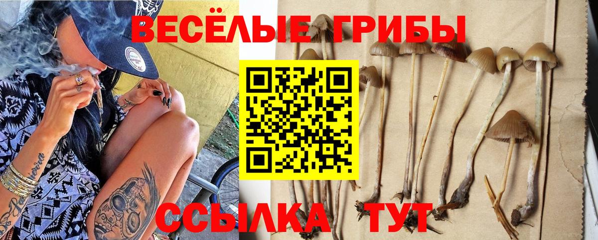 Галлюциногенные грибы прущие грибы Барнаул